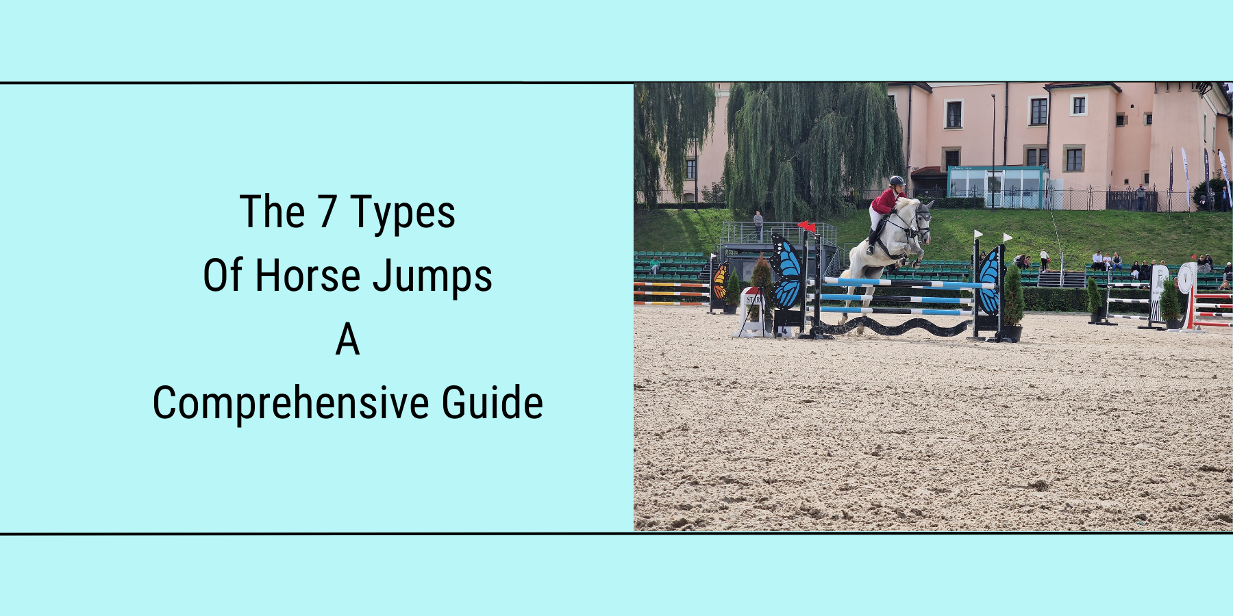 5 Different Types Of Horse Jumps  Horse Jumping Barn - Comly Sports