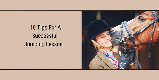 Featured Blog image for "10 tips for a successful jumping lesson"