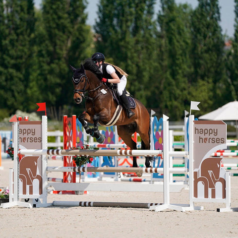 9 Essential Aspects of Aluminum Show Jumps in Modern Equestrian Sports