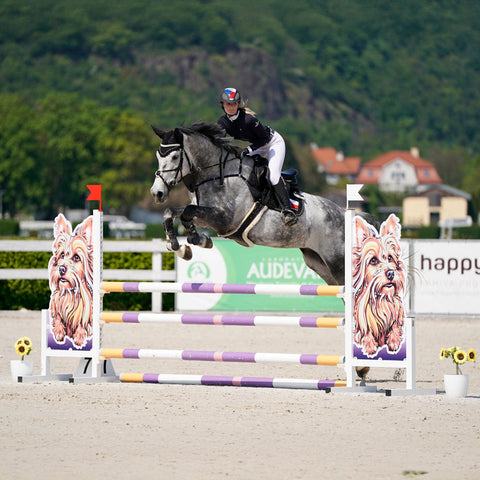 Combining Dressage & Show Jump Training: Exercises for Balance & Flexibility