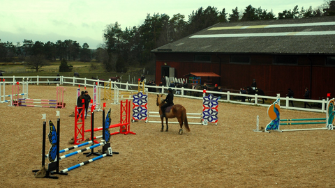 ReiterWelt: The place to buy your new Horse Jumps!