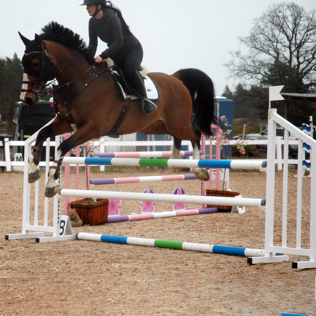 What is a showjumping fence called?