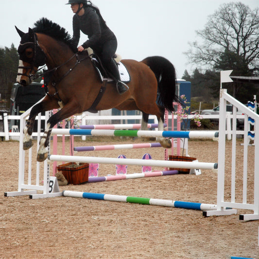 What is a showjumping fence called?