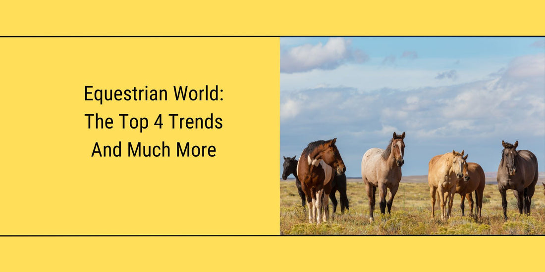 Featured Blog image for "what are the newest trends in the equestrian world"