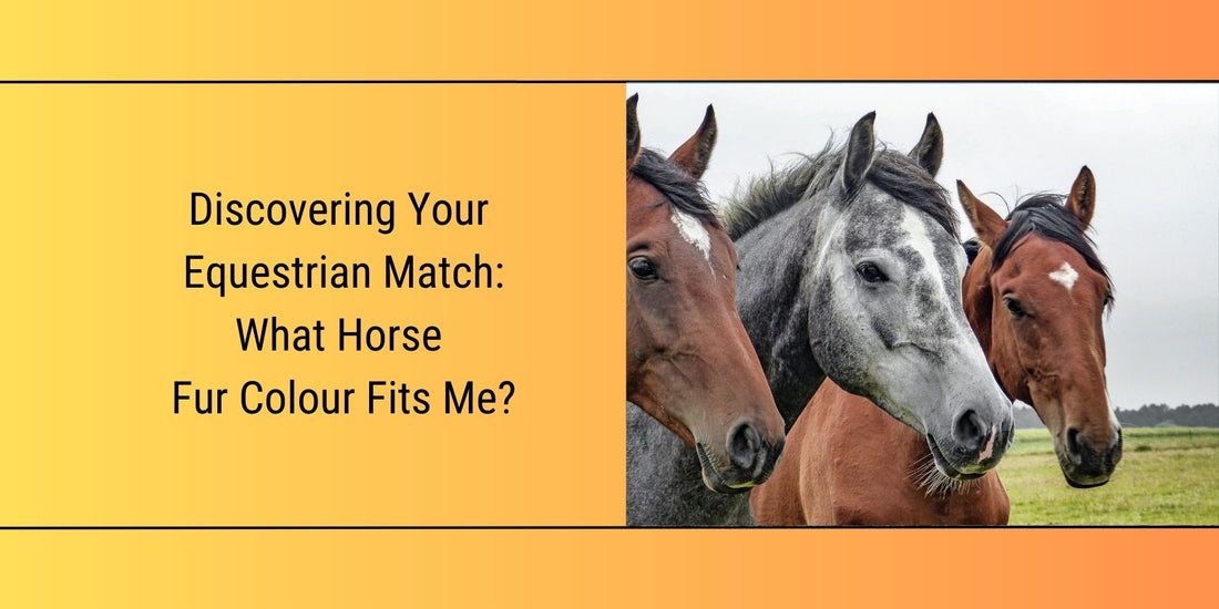 What horse fur color fits me blog featured image