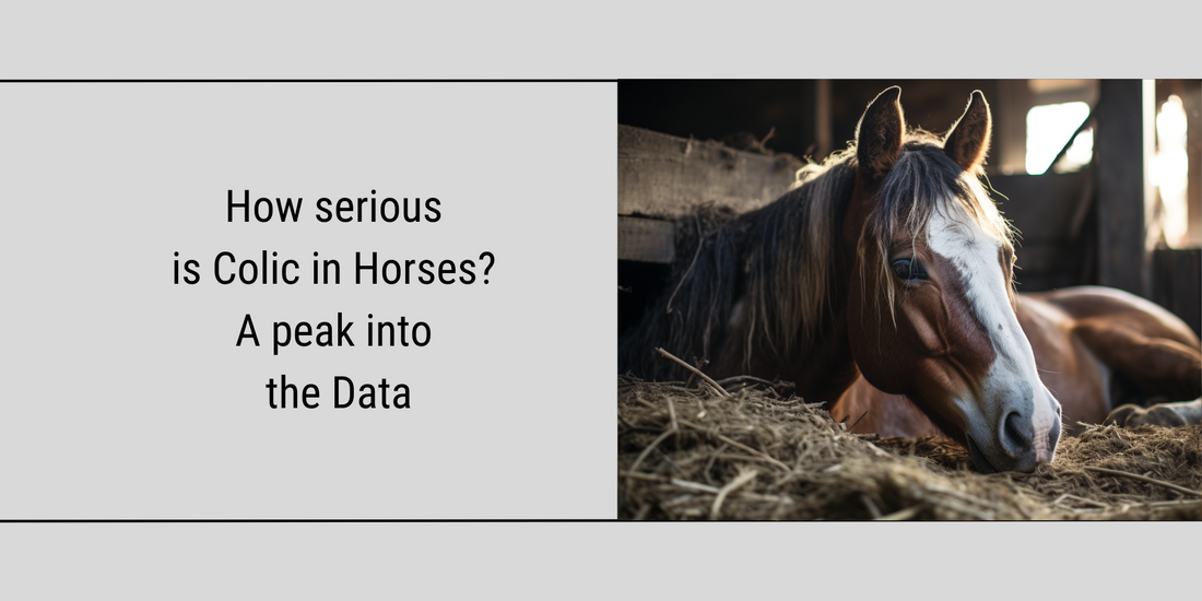 In-depth Analysis of Colic in horses: Decoding the Data for a Broader Audience