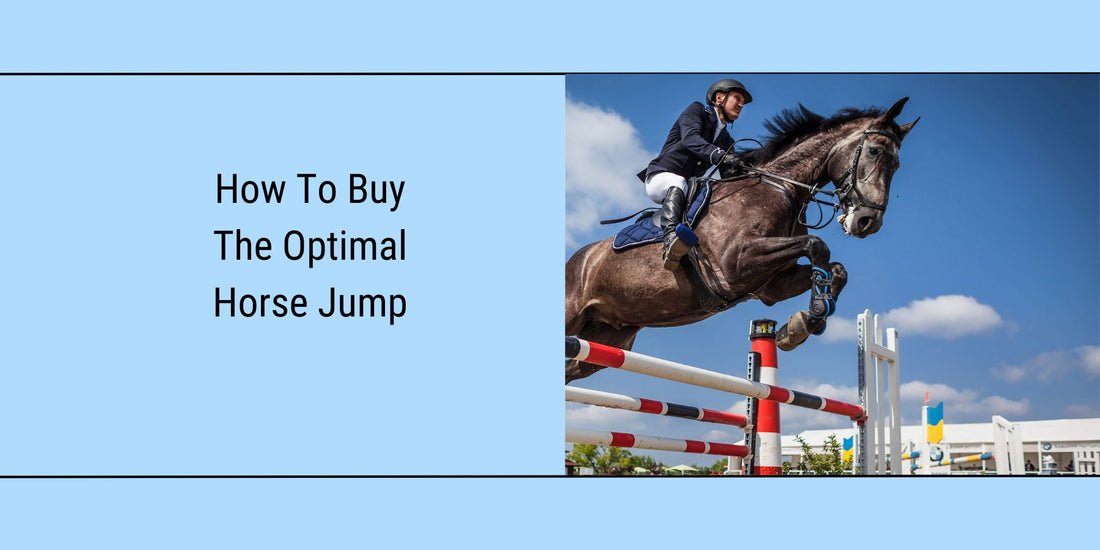 Featured Blog image for "how to buy the optimal horse jumps"