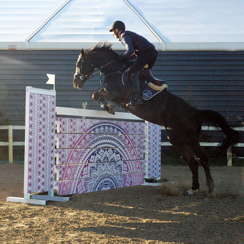 The Big Horse Horse Training: ReiterWelt Expert Tips & Equipment