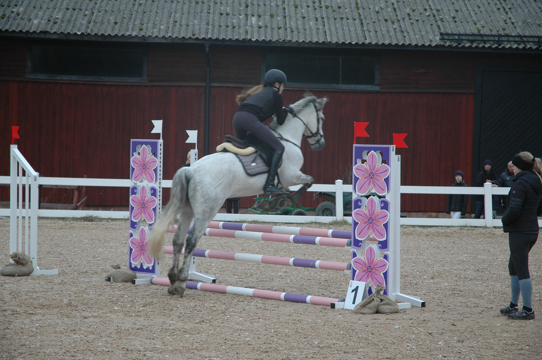 The Benefits of Using Cavaletti Jumps in Your Training