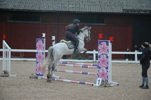 How do the equestrian scoring systems work?