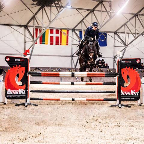 ReiterWelt: We build Creative Unique Show Jumps That Will Transform Your Course