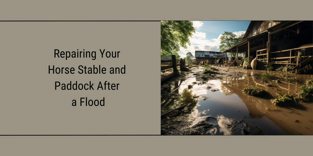 Flooded horse stable and paddock 