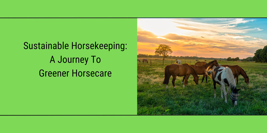 Featured Blog image for "sustainable horsekeeping, a journey to greener horsecare"