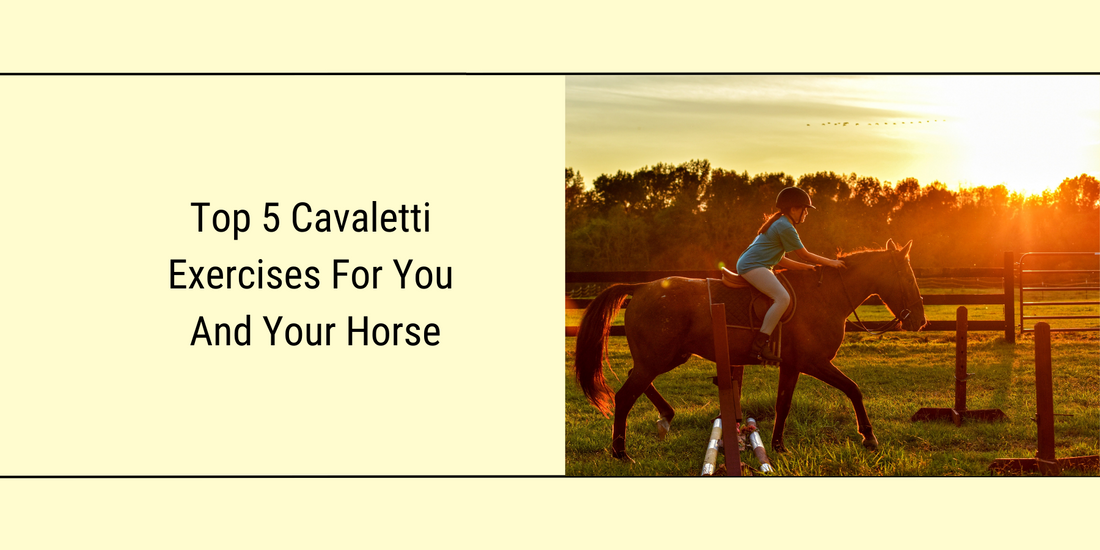 Featured Blog image for "The top 5 cavaletti exercises or you and your horse"