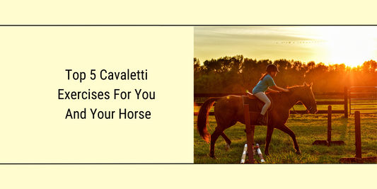 Featured Blog image for "The top 5 cavaletti exercises or you and your horse"