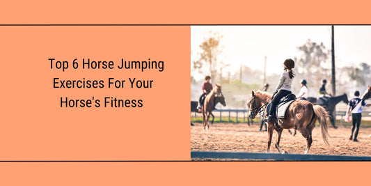 Featured Blog image for "top 6 horse jumping exercises for your horse's fitness"