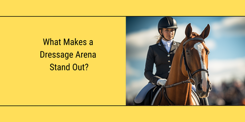 female rider with dressage gear on a horse