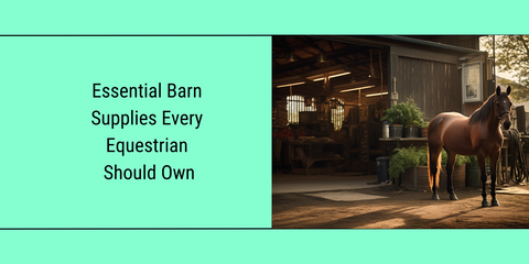 horse standing in front of a barn entrance door in the sun