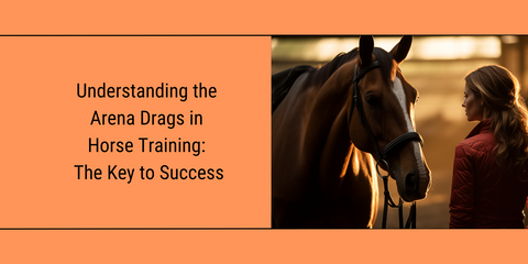 woman standing next to a calm horse