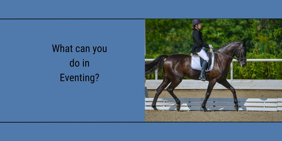 Featured Blog image for "what can you do in eventing?"
