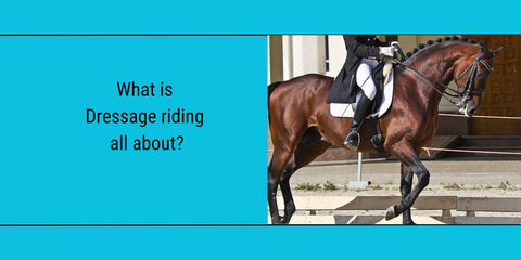 female dressage rider on a horse