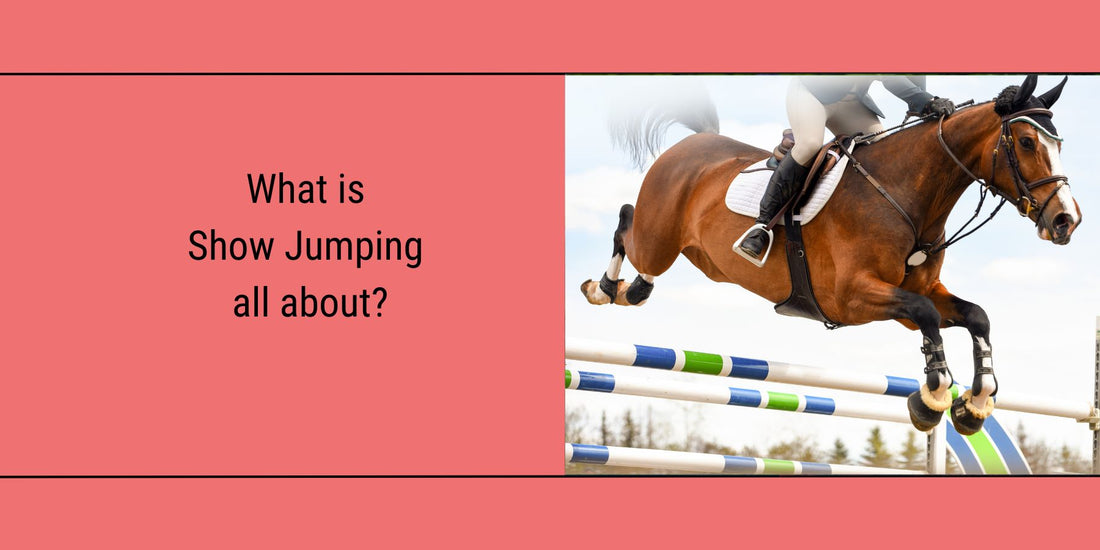 Featured Blog image for "what is show jumping all about?"