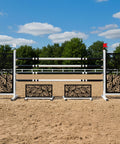 Leaf Rays Show Jump Set Black Aluminium Horse Jumps / Hindernisse