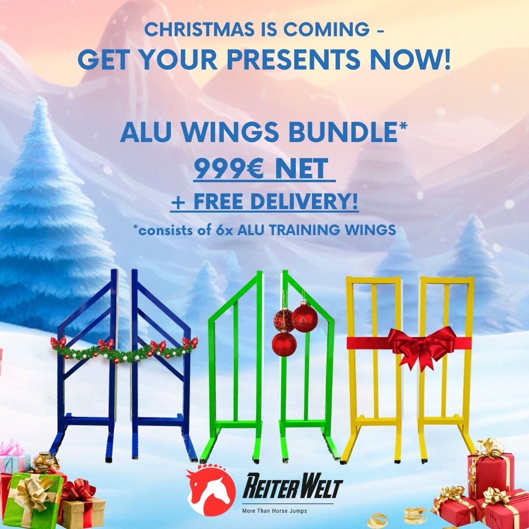 CHRISTMAS OFFER - Alu Training Wings Package with FREE DELIVERY