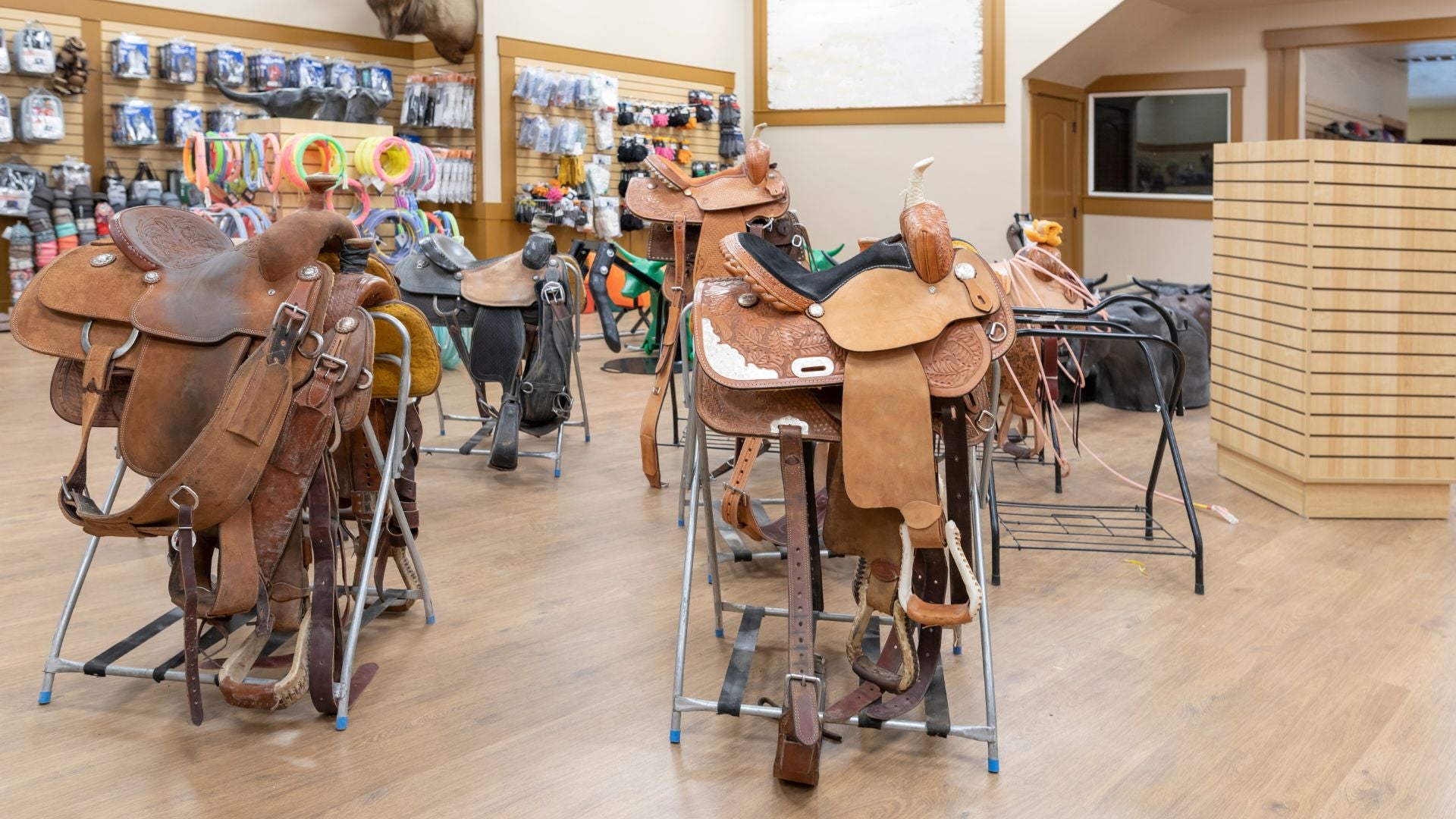 horse equipment retail store picture showing saddles