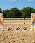 Golden Retriever Show Jump Set Aluminium Horse Jumps / Hindernisse
