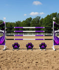 Mystic Cat Show Jump Set Aluminium Horse Jumps / Hindernisse