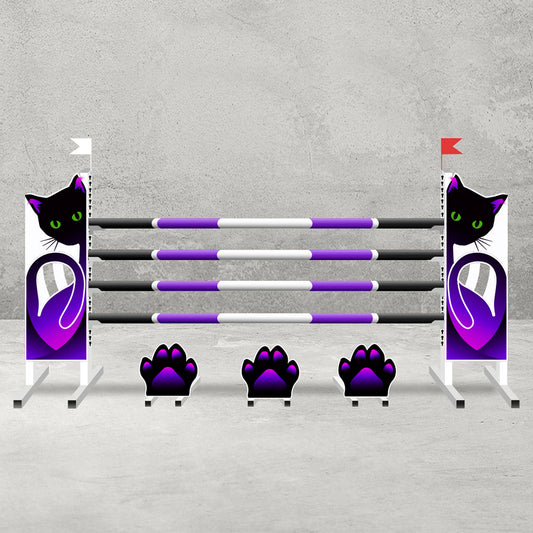 Classic Show Jump Set