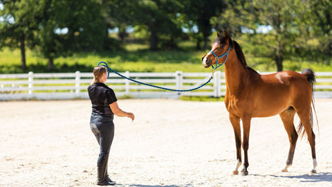 Woman with horse training on a sand paddock