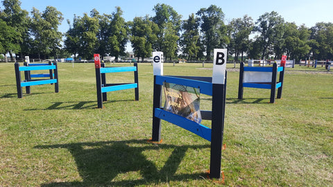 ApexDrive ESSENTIAL Marathon Obstacle Package