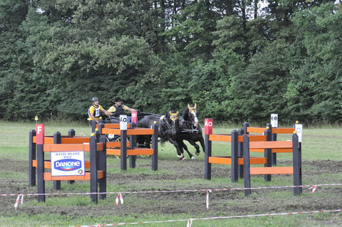 ApexDrive ESSENTIAL Marathon Obstacle Package